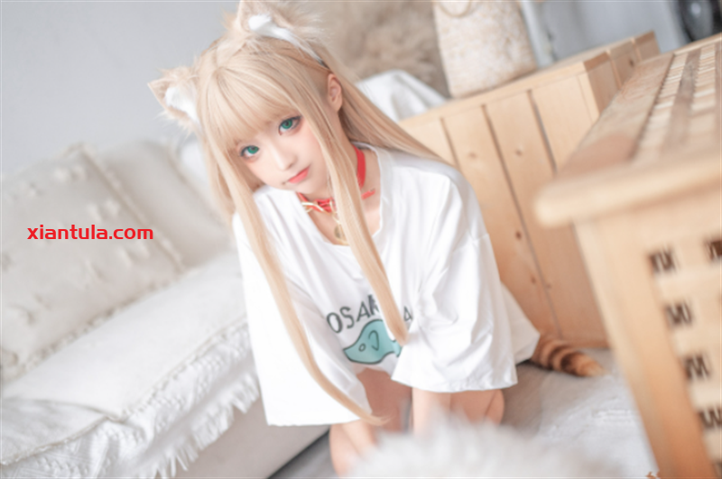 蠢沫沫黄豆粉猫娘尾巴插件147套，下班后更让人动心