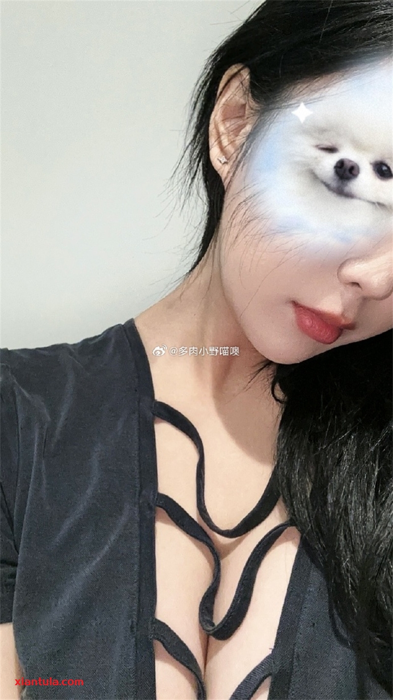 多肉小野猫最全微密资源，多套搭配变宠儿