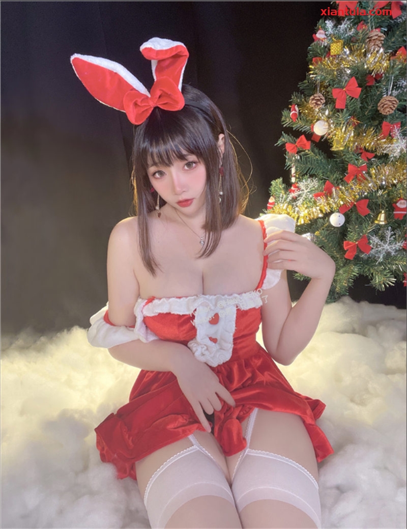 是一只废喵了免费图集，5G网盘内容分享