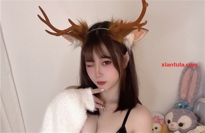 是一只废喵了免费图集，5G网盘内容分享