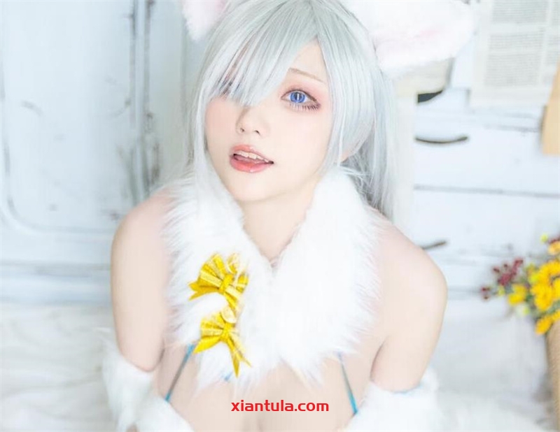 起司块wii21套超高清图片，全集免费分享