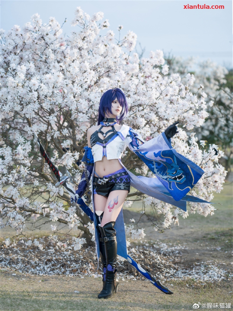 腥味猫罐：二次元红伞图片与她的个人秘密！