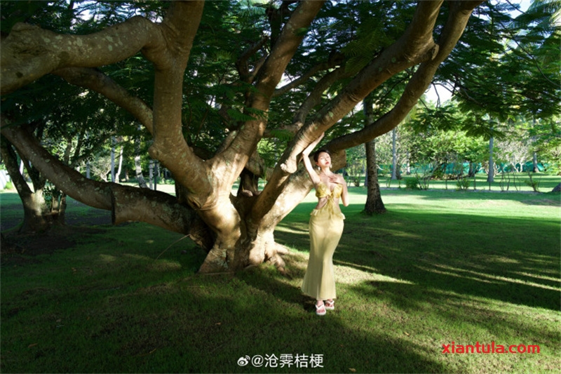 沧霁桔梗事件揭秘：靠二次元图片让结局华丽逆袭