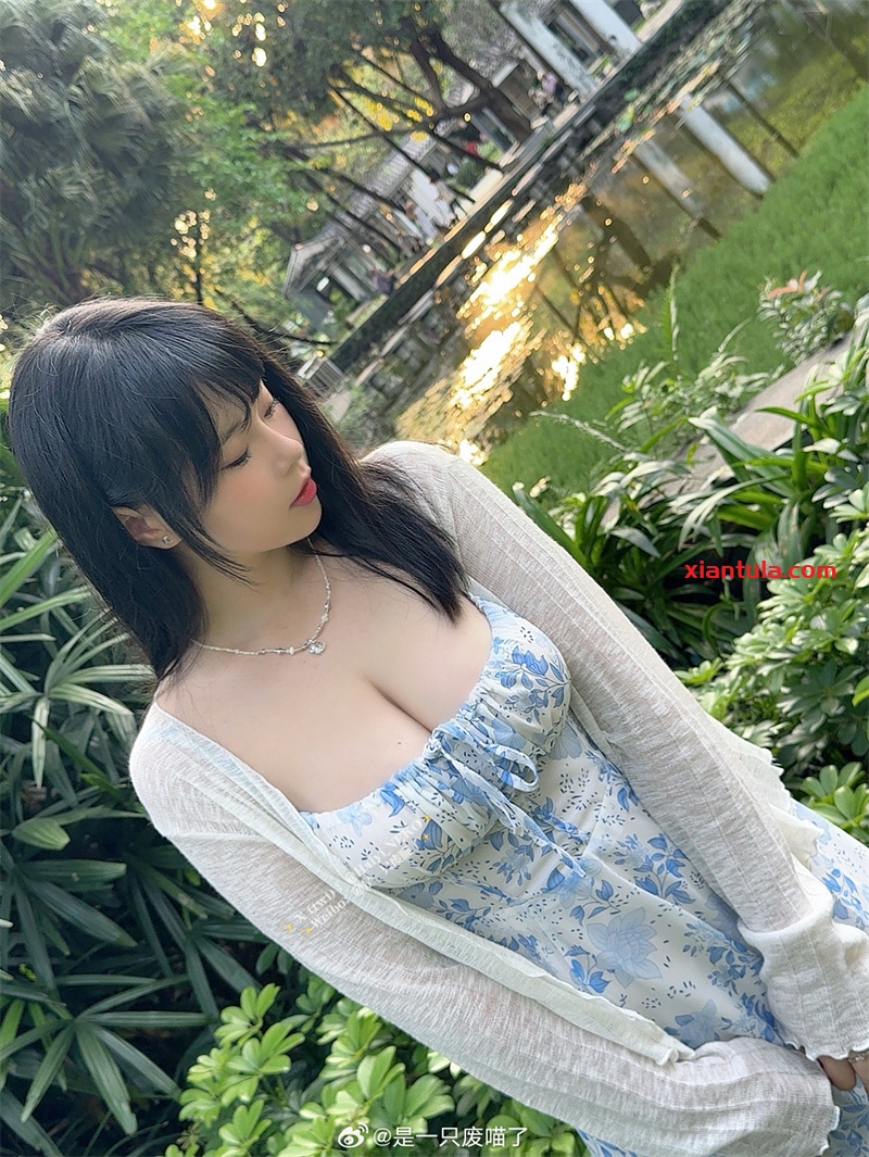 “是一只废喵了”入行揭秘：从新人到超人气的高清图片合集