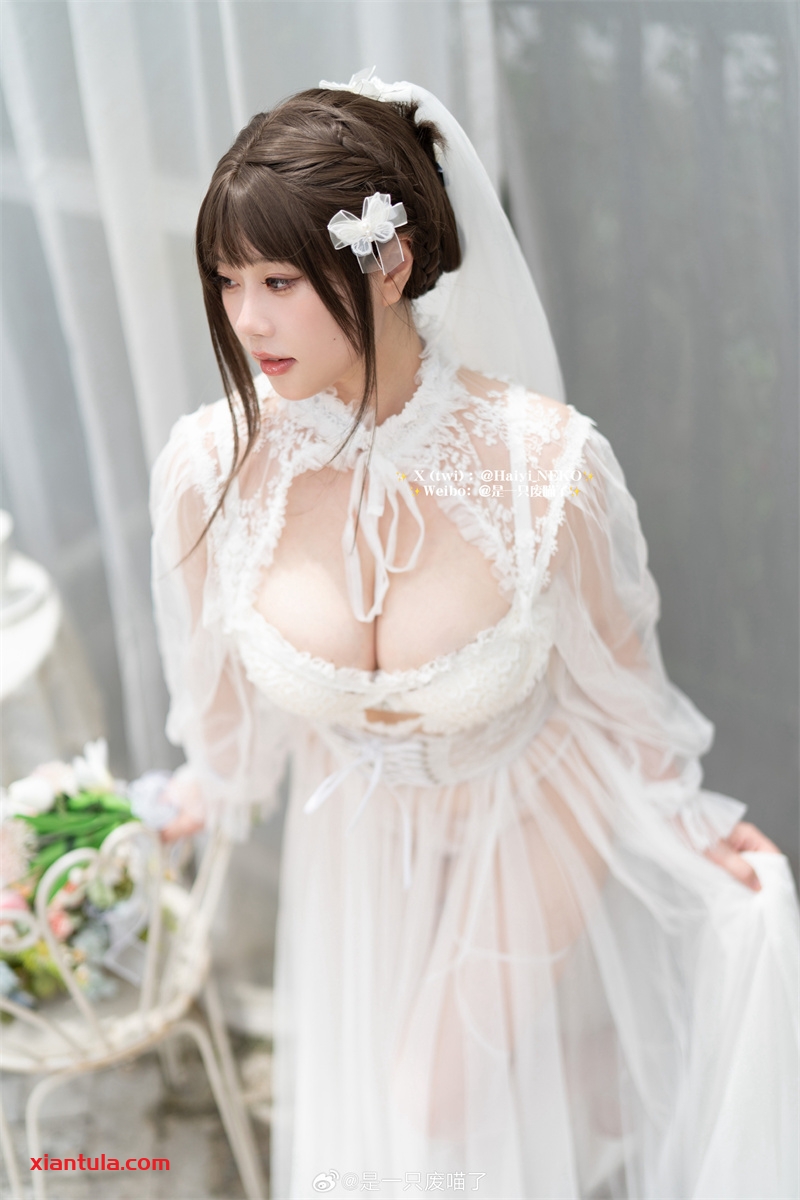 “是一只废喵了”入行揭秘：从新人到超人气的高清图片合集