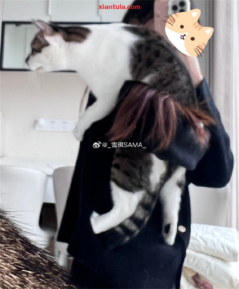 如何像雪琪SAMA一样萌态与实力并存？作品与动态全解析