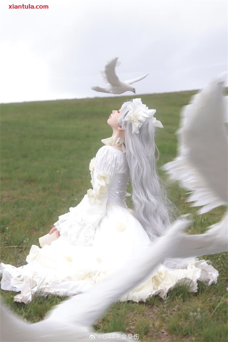 G44不会受伤的惊艳图片合集:绝美造型大揭秘! G44不会受伤的惊艳图片合集:绝美造型大揭秘!